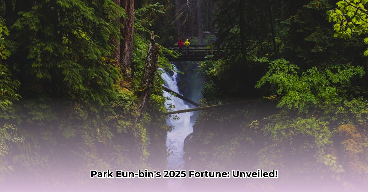 park-eun-bin-net-worth